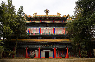 爱情岛av论坛:极速情缘,赛道交织的心动旅程-3