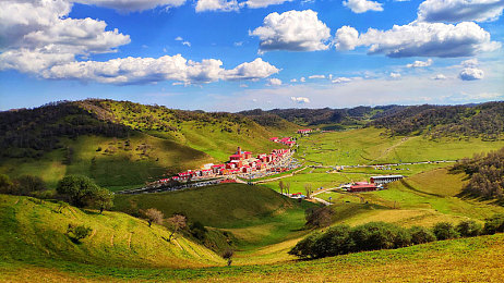 搜色88色:疾驰调色盘,收集赛道上的极速艺术-1