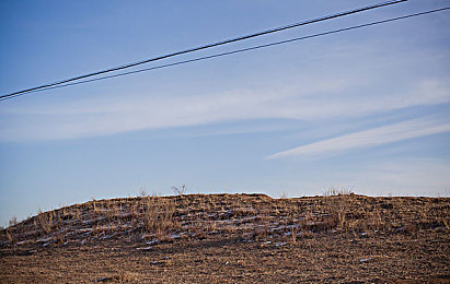 男女搞鸡软件下载：极速养鸡场深度解析，赛车改装与农场经营的创意融合-2