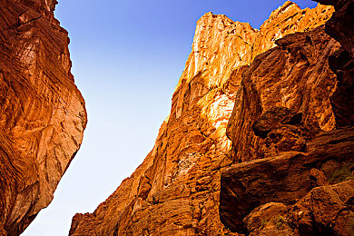 成人版斗罗大陆:武魂引擎,极速竞逐暗黑大陆-2