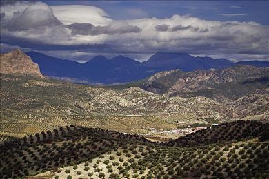 国产AV片电影:光影疾驰,每一帧皆是速度的诗篇-1