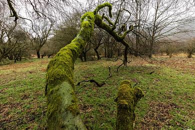 男生和女生差差差软件：竞速新作颠覆传统，性别差异化驾驶机制引发策略革命