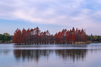 男生将困困赛季女生的定眼里：极速羁绊第三赛季开启，竞技场如何成为情感社交新赛道-2