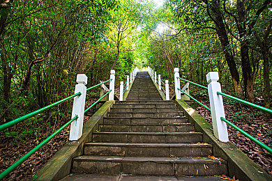 黄色隐私软件：极速暗影，数据密战中的加密赛道守护者-1