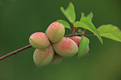 日韩一卡二卡三卡:融合赛车与卡牌策略,全新战术体系颠覆竞速体验-2