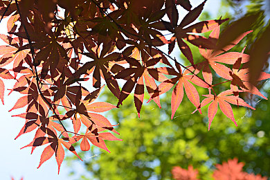 色综色合：竞速新纪元，视觉解谜与赛道色彩的完美共舞-3