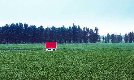 99热这里有：极限竞速地平线5墨西哥开放世界竞速全攻略，三阶段进阶与车辆调校详解-1