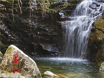 一男一女在床上拔萝卜：田园协奏曲评测，双人协作在卧室农场巧解谜题-2