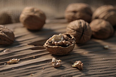 都市av：霓虹狂飙，未来都市的竞速传奇之旅-3