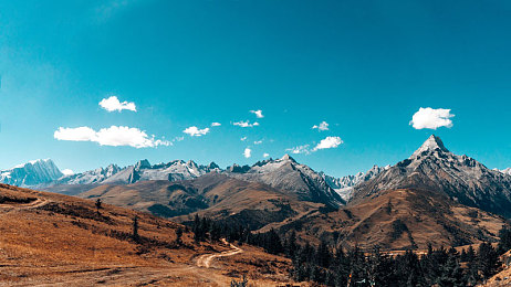 五对情侣到荒野别墅游戏：荒野恋歌，七日共谋与情感迷局-1