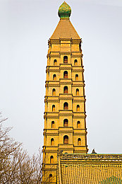 张津瑜91：虚拟车神传奇引爆社区，极致驾驶技巧全解析