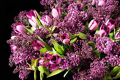 黄色软件下载3.03.3：墨西哥地平线，解锁你的专属鎏金飞驰艺术-3