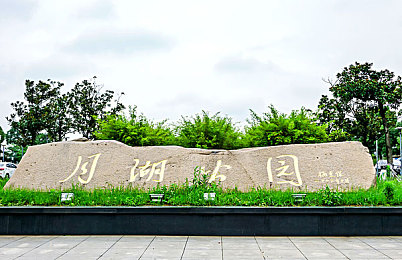 黄色软件app下载3.0.3oppo装妆：霓虹工坊，指尖定制你的赛道传奇-2