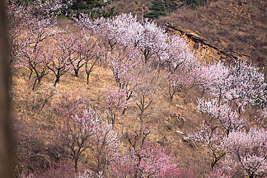 中国小帅Gay18小受：街头风云新角色登场，技术天才以电子干扰颠覆竞速格局-3