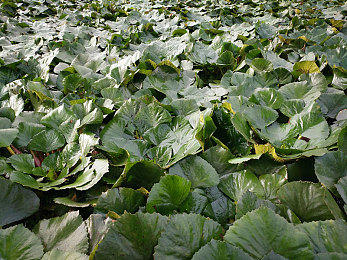 裸体打屁股：剥离辅助，于尾流中追寻极速的纯粹艺术-5