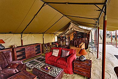 捆绑体育生射精：《赛道束缚》正式上线，独创战术竞速系统引爆策略游戏热潮-3