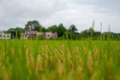 男生和女生差差差2023：2023赛车游戏数据揭秘，不同性别玩家的驾驶风格与策略选择