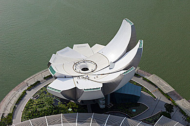 黄色软件vivo免费：极限竞速地平线移动版开放世界驾驶体验与进阶攻略