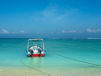 国产成人黄片：霓虹夜幕下的疾驰，道德抉择与引擎轰鸣的交响诗篇-4