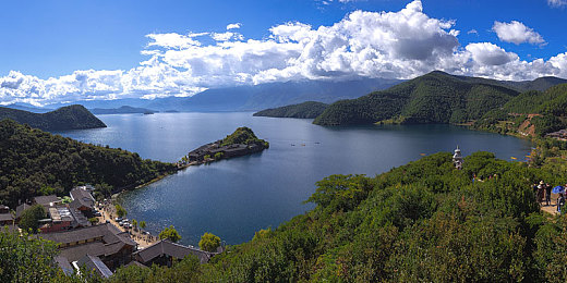 向日葵apple色斑:像素农场竞速新作今日上线,双玩法融合引爆策略狂潮-2
