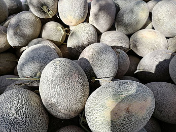 州一区二区三区四区产品：从概念到赛道，打造你的终极汽车帝国-3