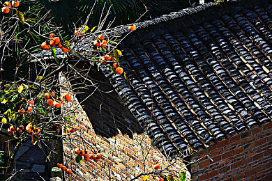 男人和女人搞鸡app：颠簸与默契，双人协奏的农场竞速之旅