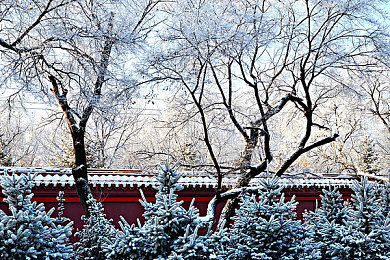 男人挺进雌性宠物交m：驾驭机械兽，解锁人车合一的终极竞速艺术-2