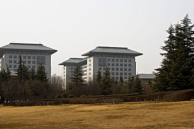 1初中生张婉莹暑假作业紫微：星盘调校极速，命理驱动竞逐之旅-2