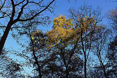 一小孩和妈妈打萝卜不盖被子：家庭竞速新作温情上线，亲子合作挑战极寒赛道