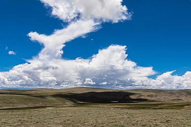 男生把女生困在一个角落：极限逃脱街头狂飙，高阶战术围堵艺术全解析-3