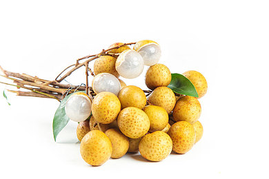 鹿星语:驾驶越野车破解星空谜语,探索开放世界的神话之旅-4