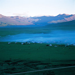 成人黄色app下载：街头竞速传奇陷内容争议，官方严打违规涂装与安全攻略发布-1