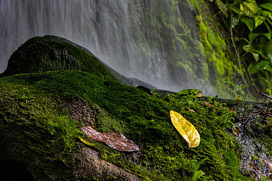 亚洲综合在线一区：融合亚洲都市风情的顶级赛车游戏今日上线，极致拟真驾驶体验引爆竞速狂潮-4