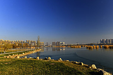 黄色软件下载3.02：极限竞速，金色光芒，涂装编辑与赛道挑战全收录