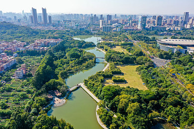 蜜桃AV伦理：极速都市，道德弯道，抉择与引擎的共鸣-3