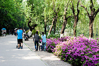 男人c女人app：双线交织，竞速与共舞的赛道协奏曲-1