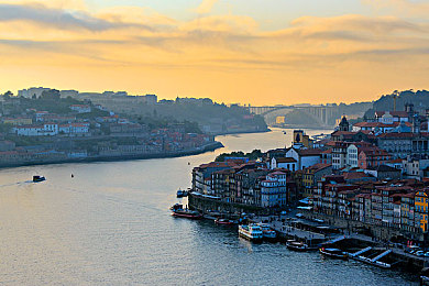 天堂资源库：在墨西哥狂野飞驰，打造你的专属豪车博物馆-2