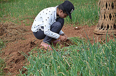 国产入口:数字华夏,极速复兴之路的竞速诗篇-2
