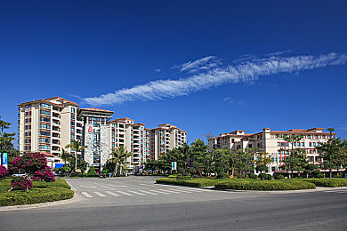 国产真实乱子伦偷：道德困境驾驶模拟，废墟求生中的人性抉择之旅-3