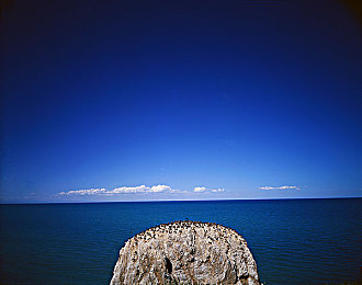 黄色软件下载大全免费版3.03:极速狂飙新版本上线,街头赛车传奇再添隐藏赛道与经典跑车-4