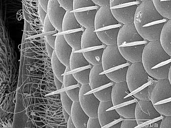 机对机应用大全下载：当人工智能引擎驱动，虚拟赛车对手学会思考-3