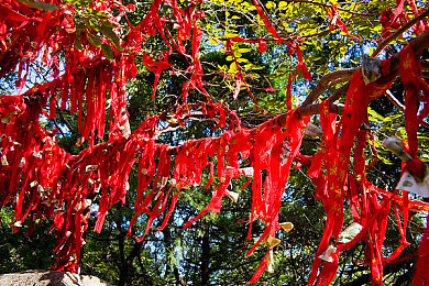 黄软件安装：赛车游戏第三方模组引发争议，玩家探索性能改装的边界与风险