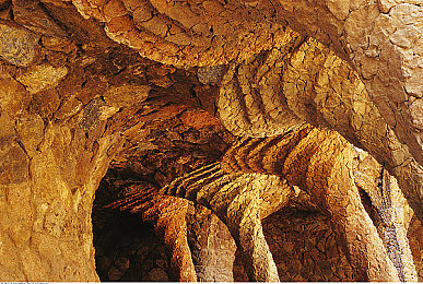 黄色软件app免费下载OPPO：极速轨迹，赛道艺术与氮气策略的终极对决-2