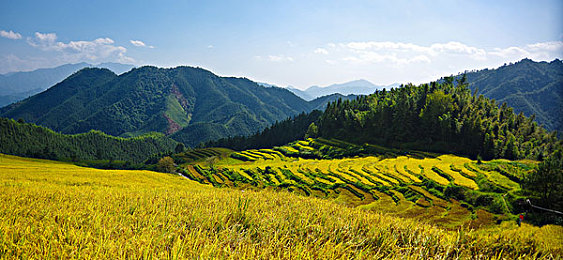 国产AV剧情演绎：当道路成为剧本，方向盘改写命运旅程