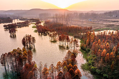 欧一区二区三区：征服欧洲赛道全攻略，地平线系列驾驶哲学深度解析-4