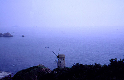 爱情岛论坛成人av：虚拟情缘，心域迷境中的深度情感联结模拟