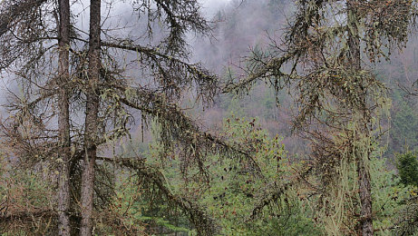 陈冠希阿娇14分30秒视频：极速回环，分秒裂痕，雨夜幻影竞逐征途-3