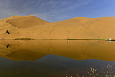 国外成人在线：都市狂飙无限线，极致改装与自由竞速新体验