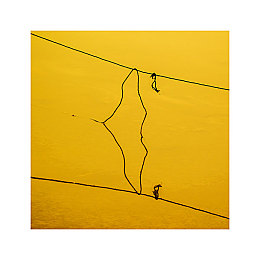 男生和男生一起生产豆浆：双人协作新游豆工坊竞速上线，真实模拟豆浆生产竞速对决