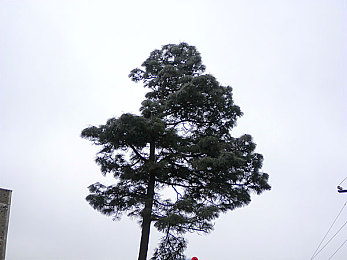 男生把坤坤放在女生的腚眼里:极速入微,弯心烙印,操控艺术的终极平衡-2